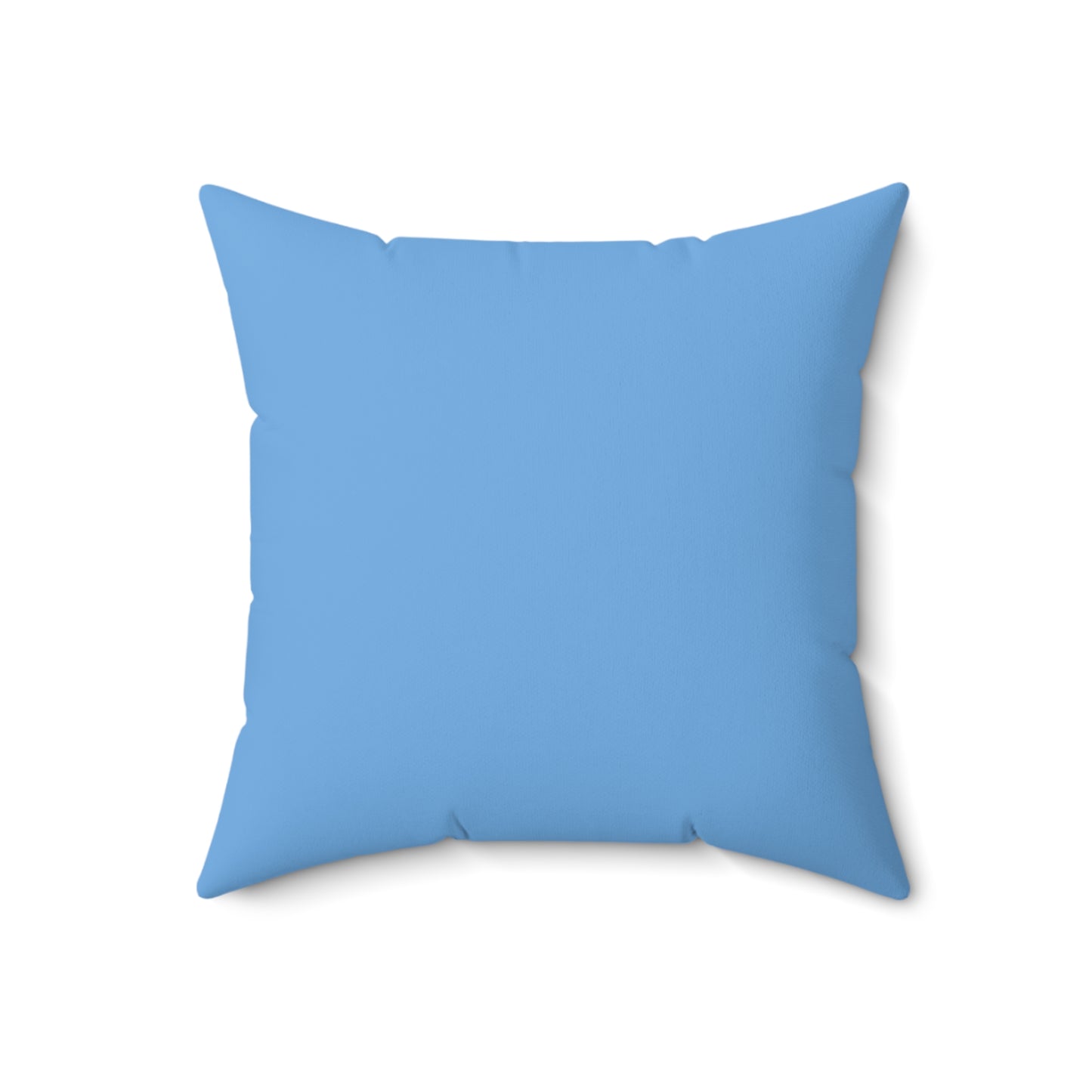 "Rad Republican" Pillow